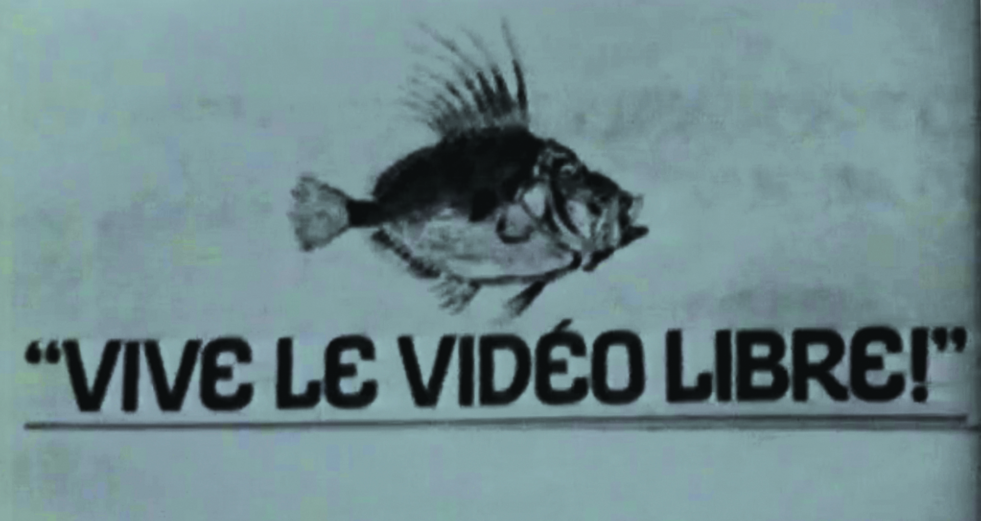 Image en noir et blanc. Poisson. Vive le vidéo libre